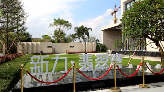 新(xīn)力地産(chǎn)